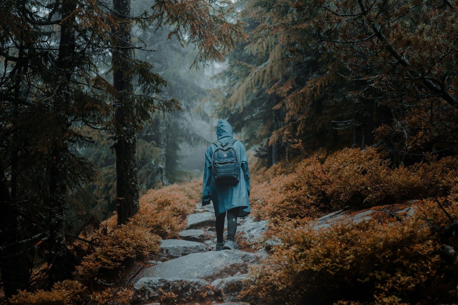 A hiker in a blue shell walking a narrow trail through autumn forest.