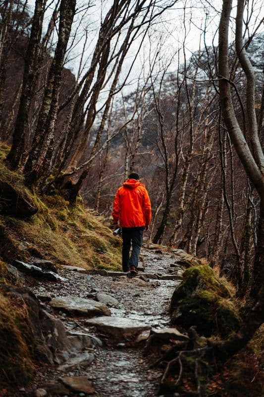 A walker in red on a rocky path between bare trees.
