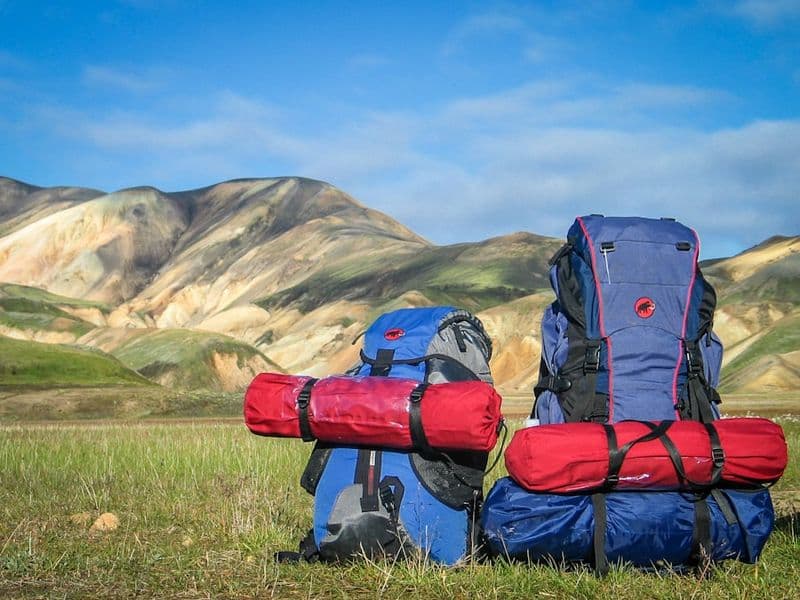 Two loaded backpacks standing in grass with mountains behind.